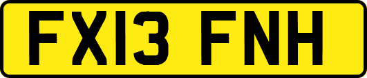 FX13FNH