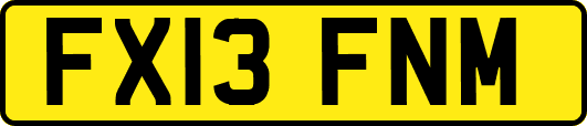 FX13FNM