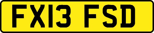 FX13FSD