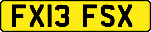 FX13FSX