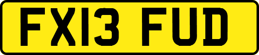 FX13FUD