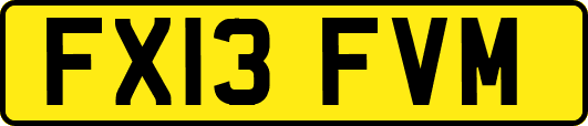 FX13FVM