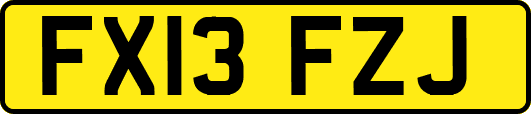 FX13FZJ