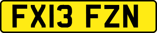 FX13FZN