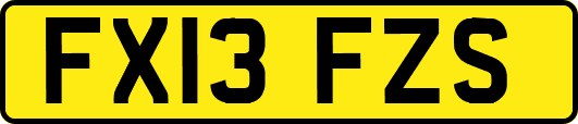 FX13FZS