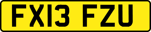 FX13FZU