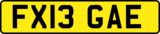 FX13GAE