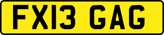 FX13GAG