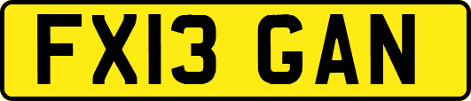 FX13GAN