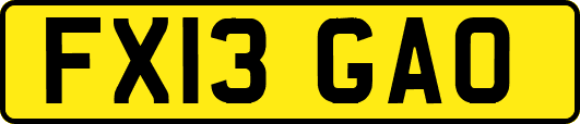 FX13GAO