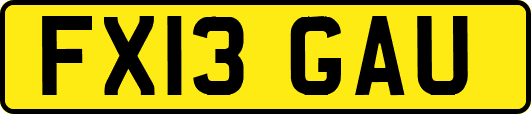 FX13GAU