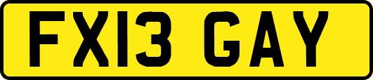 FX13GAY