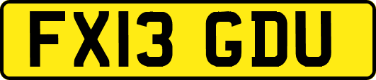 FX13GDU
