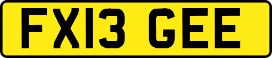 FX13GEE