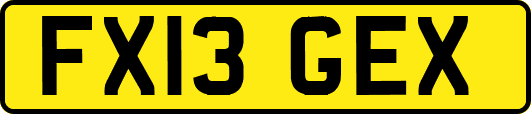 FX13GEX