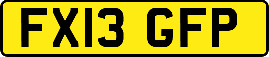 FX13GFP
