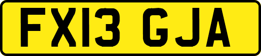 FX13GJA