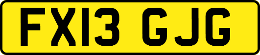 FX13GJG