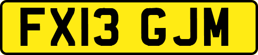 FX13GJM