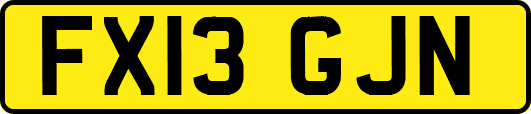 FX13GJN