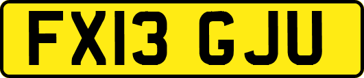 FX13GJU