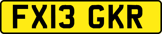 FX13GKR