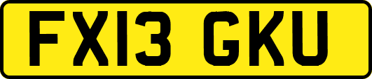 FX13GKU