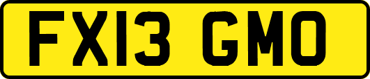 FX13GMO