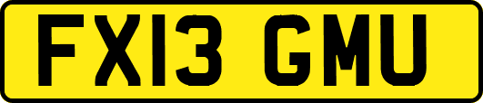 FX13GMU