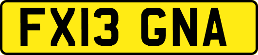 FX13GNA