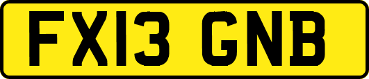 FX13GNB