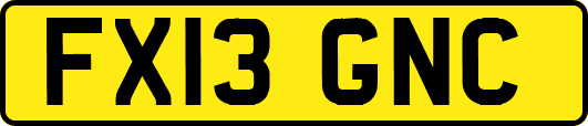 FX13GNC