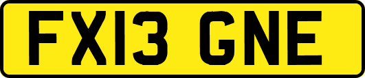 FX13GNE