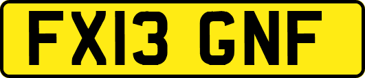 FX13GNF