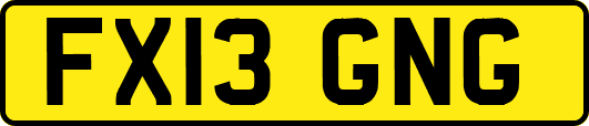 FX13GNG