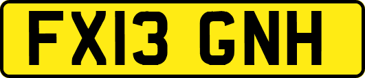 FX13GNH