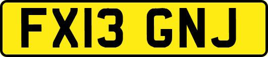 FX13GNJ