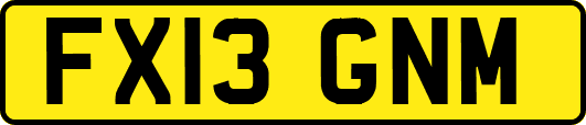 FX13GNM