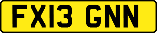 FX13GNN