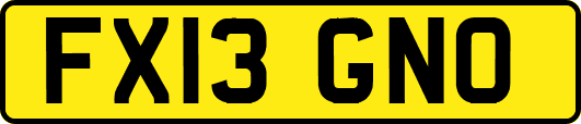 FX13GNO
