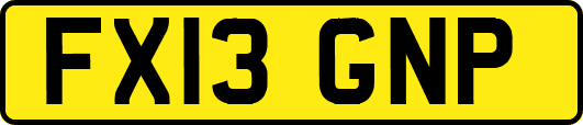 FX13GNP