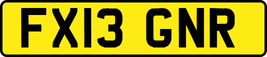 FX13GNR
