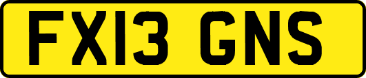 FX13GNS