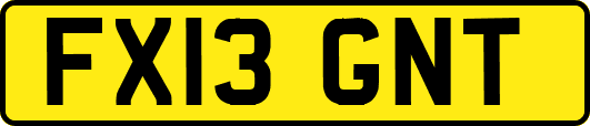 FX13GNT