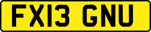 FX13GNU