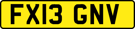 FX13GNV