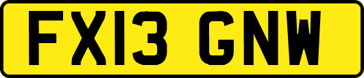 FX13GNW