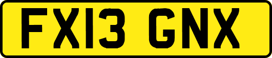 FX13GNX