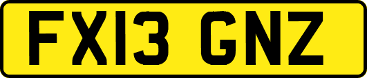 FX13GNZ