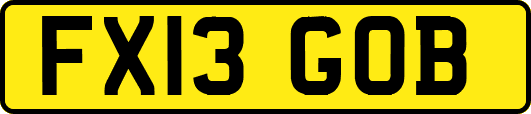 FX13GOB
